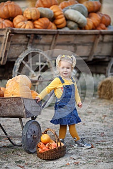 Cute little girl having fun with huge pumpkins on a pumpkin patch.