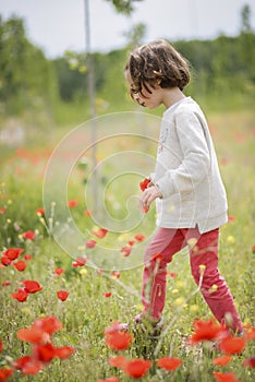 Cute little girl having fun in a poppy field