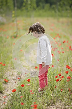 Cute little girl having fun in a poppy field