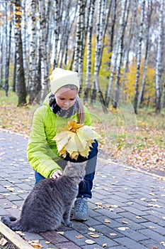 Cute little girl with her cat on sunny autumn day. Adorable child playing with pet kitty. Kids and animals