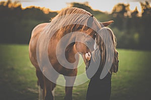 Cute little girl with her horse on a lovely meadow