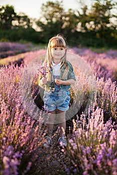 Cute little girl holding a bouquet of lavender.