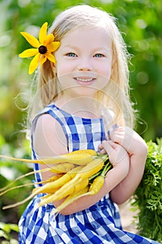 Cute little girl holding a bunch of fresh yellow carrots