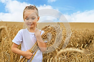 Cute little girl is holding golden ears of rye on walking on wheat field.