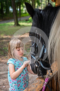 Cute little girl and a horse