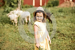 cute little girl kid in yellow dress and hat feeding goat in the farm in village countryside
