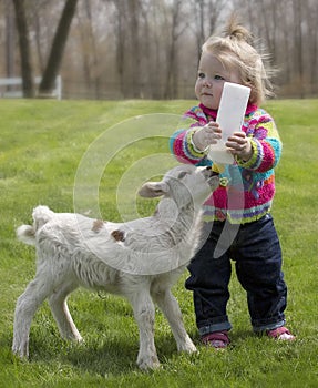 Cute little girl with lamb