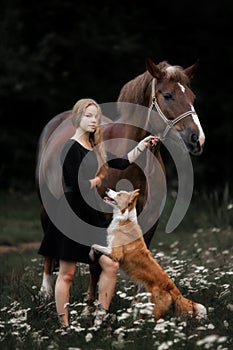 Cute little girl leading big draught horse and small dog by the forest