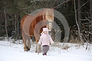 Cute little girl leading big draught horse in winter