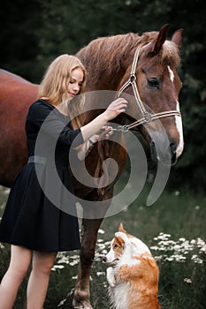 Cute little girl leading big red draught horse and small dog by the forest in summer