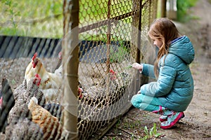 Cute little girl looking at farm chickens through metal fence