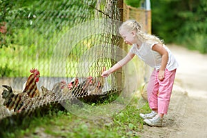 Cute little girl looking at farm chickens through metal fence