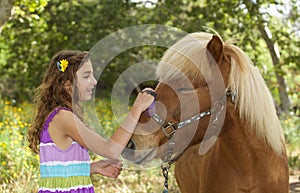 Cute Little Girl Outside Brushing Her Pony,