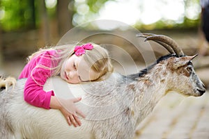 Cute little girl petting and feeding a goat at petting zoo. Child playing with a farm animal on sunny summer day.