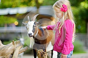 Cute little girl petting and feeding a goat at petting zoo. Child playing with a farm animal on sunny summer day.