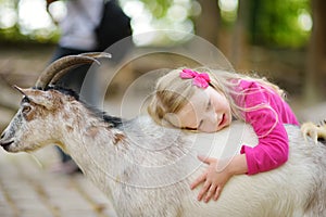 Cute little girl petting and feeding a goat at petting zoo. Child playing with a farm animal on sunny summer day.