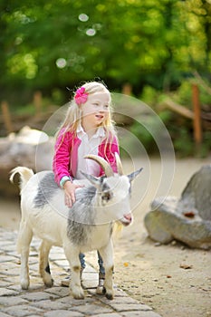 Cute little girl petting and feeding a goat at petting zoo. Child playing with a farm animal on sunny summer day.