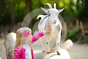 Cute little girl petting and feeding a goat at petting zoo. Child playing with a farm animal on sunny summer day.