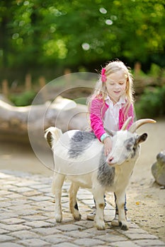 Cute little girl petting and feeding a goat at petting zoo. Child playing with a farm animal on sunny summer day.