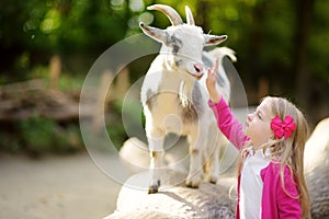 Cute little girl petting and feeding a goat at petting zoo. Child playing with a farm animal on sunny summer day.