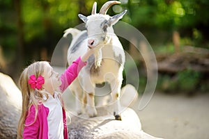 Cute little girl petting and feeding a goat at petting zoo. Child playing with a farm animal on sunny summer day.