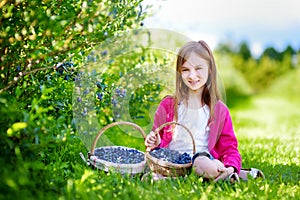 Cute little girl picking fresh berries on organic blueberry farm