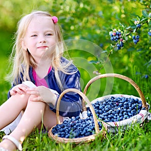 Cute little girl picking fresh berries on organic blueberry farm