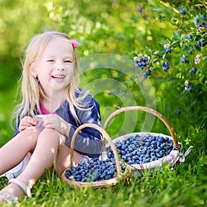 Cute little girl picking fresh berries on organic blueberry farm