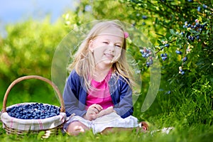 Cute little girl picking fresh berries on organic blueberry farm