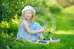 Cute little girl picking fresh berries on organic blueberry farm on warm and sunny summer day