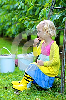 Cute little girl picking sweet cherries in the orchard