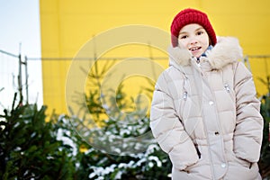 Cute little girl picking a tree at Christmas tree market on chilly winter day. Choosing Xmas tree for family celebration at home.