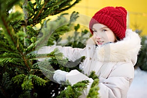 Cute little girl picking a tree at Christmas tree market on chilly winter day. Choosing Xmas tree for family celebration at home.