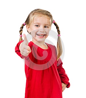 Cute little girl with a plaits