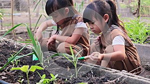 Cute little girl planting young tree in backyard vegetable garden.