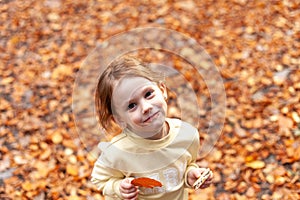 Cute little girl playing with autumn leaves in the park. Selective focus