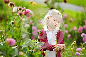 Cute little girl playing in blossoming dahlia field. Child picking fresh flowers in dahlia meadow on sunny summer day.