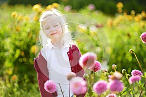 Cute little girl playing in blossoming dahlia field. Child picking fresh flowers in dahlia meadow on sunny summer day