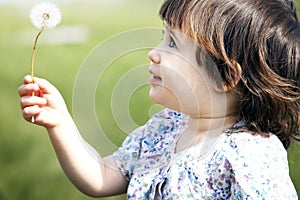 Cute little girl playing with a dandelion,outdoor