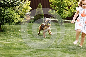 A cute little girl is playing with her pet dog outdooors on grass at home. selective focus