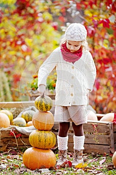 Cute little girl playing with pumpkins in autumn park. Autumn activities for children. Adorable  little girl builds a tower of