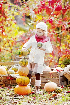 Cute little girl playing with pumpkins in autumn park. Autumn activities for children. Adorable  little girl builds a tower of