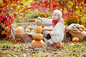 Cute little girl playing with pumpkins in autumn park. Autumn activities for children. Adorable  little girl builds a tower of