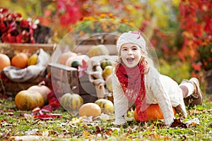 Cute little girl playing with pumpkins in autumn park. Autumn activities for children. Halloween and Thanksgiving time fun for