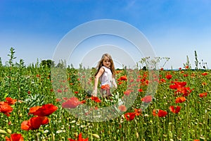 Cute little girl playing in red poppies field summer day, beauty