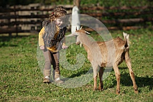 Cute little girl plays with goat