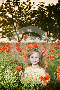 Cute little girl in the poppy field