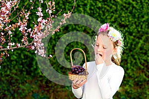 Cute little girl posing with fresh fruit in the sunny garden. Little girl with basket of grapes.