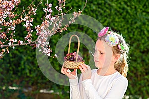 Cute little girl posing with fresh fruit in the sunny garden. Little girl with basket of grapes.