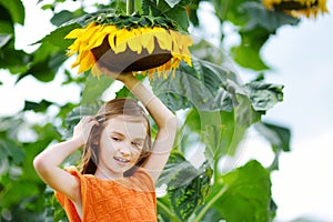 Cute little girl reaching to a sunflower